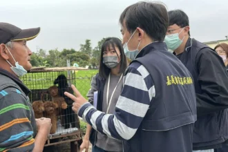 嘉縣查獲黑心繁殖狗場　63隻品種犬全數沒入　最高可罰300萬