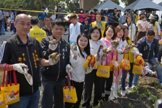 斗南馬鈴薯節熱鬧登場　千人下田體驗採收推廣食農教育