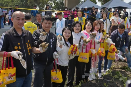 斗南馬鈴薯節熱鬧登場　千人下田體驗採收推廣食農教育