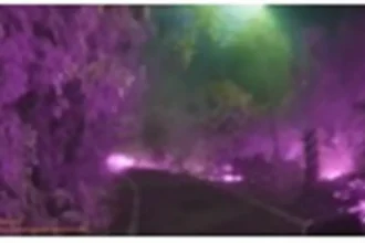 彰化巡邏警眼尖深夜發現山區起火　警消合力阻火燒山