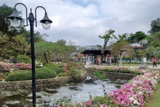 從春天開始慢生活　新北景觀處推金山中山溫泉公園　一年四季放鬆樂活