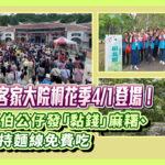 姜太公客家大院桐花季4/1登場！縣長扮伯公仔發「黏錢」麻糬、媽祖加持麵線免費吃​​​​​​​​​​​​​​​​