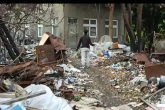 和美鎮民眾飼養犬隻危害公共安全　彰化縣動防所強力介入依法究責