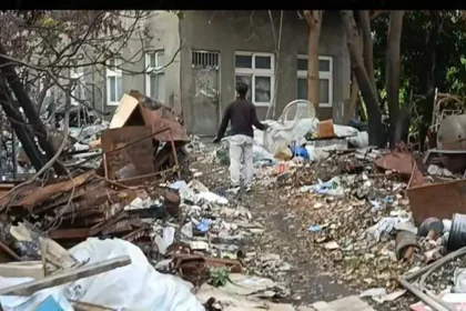 和美鎮民眾飼養犬隻危害公共安全　彰化縣動防所強力介入依法究責