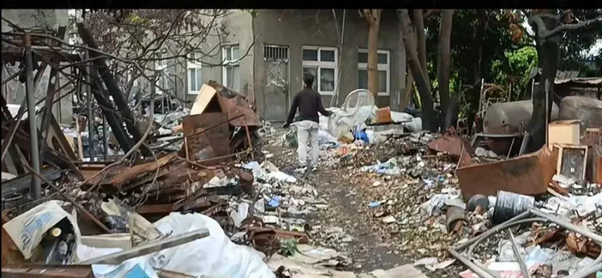 和美鎮民眾飼養犬隻危害公共安全　彰化縣動防所強力介入依法究責