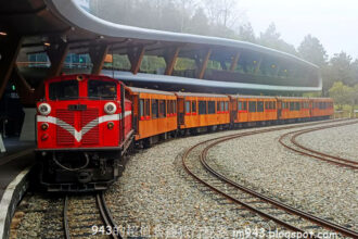 穿越檜木香氣的阿里山時空行旅