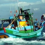 臺東縣政府文化處推動「成功鎮鏢旗魚文化保存推廣計畫」講座開跑