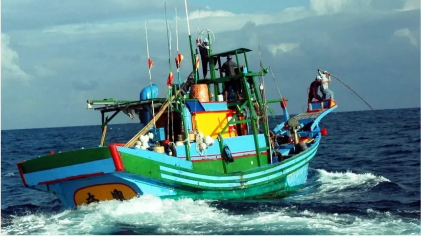 臺東縣政府文化處推動「成功鎮鏢旗魚文化保存推廣計畫」講座開跑