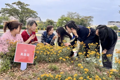 「還記得那株小苗嗎？」 植樹節前夕　高雄區監理所邀民眾一同見證花開時刻