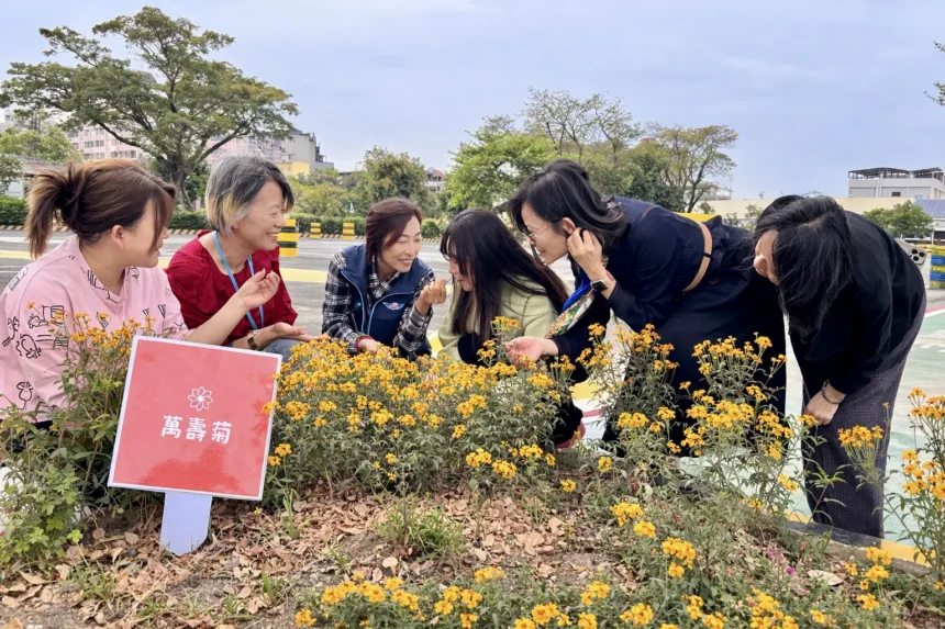 「還記得那株小苗嗎？」 植樹節前夕　高雄區監理所邀民眾一同見證花開時刻