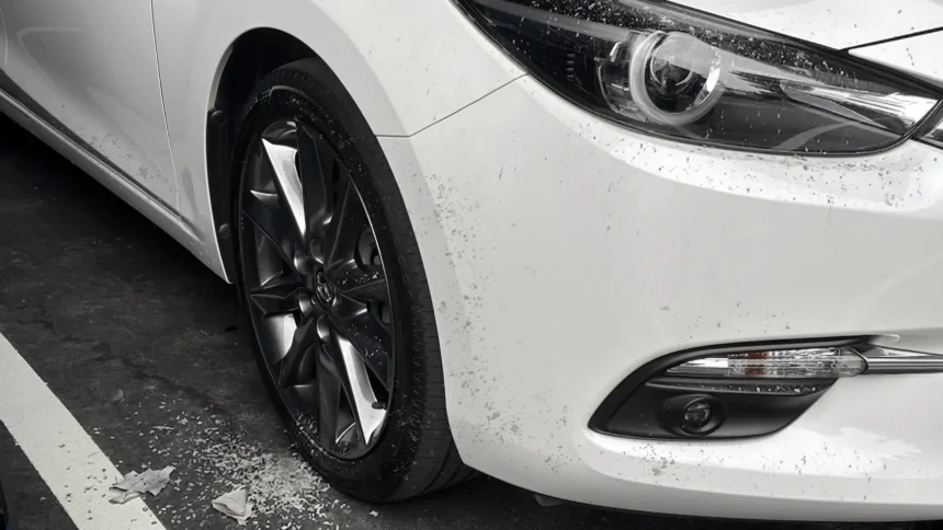 清明連假用車高峰　簡易保養觀念帶動DIY洗車風潮