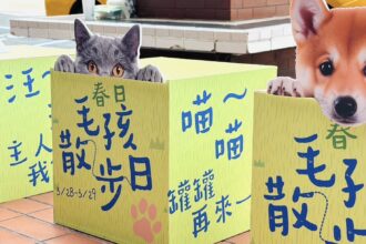 高雄大立推雙主題活動　串聯寵物友善與城市運動風潮
