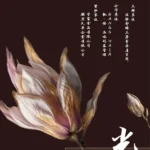 臺南看守所開辦「快速剪髮班」　現場直擊收容人拿剪刀修整了儀容也剪開了陰霾人生