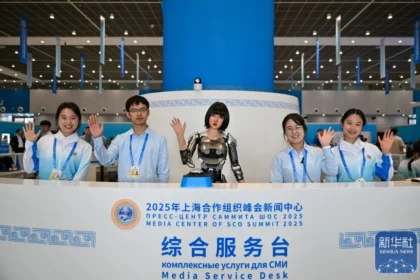 當AI取代工作　人類社會將如何生存？