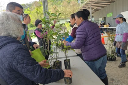 基隆「發票換樹苗」人氣爆棚　3509株苗木半日搶光