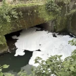 消防泡沫外洩釀污染　基隆碇內大排出現大片白色泡沫　業者遭停工