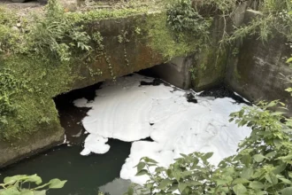 消防泡沫外洩釀污染　基隆碇內大排出現大片白色泡沫　業者遭停工