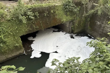 消防泡沫外洩釀污染　基隆碇內大排出現大片白色泡沫　業者遭停工