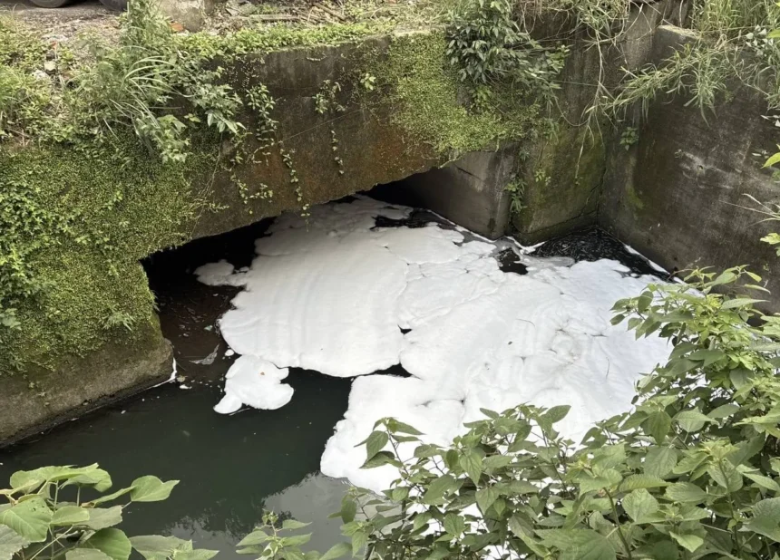 消防泡沫外洩釀污染　基隆碇內大排出現大片白色泡沫　業者遭停工
