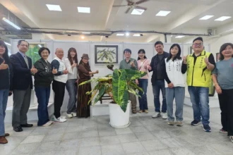 第四屆臺灣熱帶雨林暨觀葉植物精品大賞 × 暨大櫻花季　植物走入畫中 藝術走進雨林