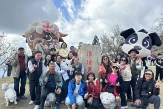 讓數據說話　仁愛「清境農場」年迎68 萬客　穩居高山首選