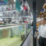 考察雪梨魚市場　侯友宜：借鏡國際經驗　持續翻轉新北市場