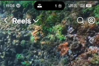 海水正藍、氣候宜人　快來墾丁和海龜同遊浮潛吧