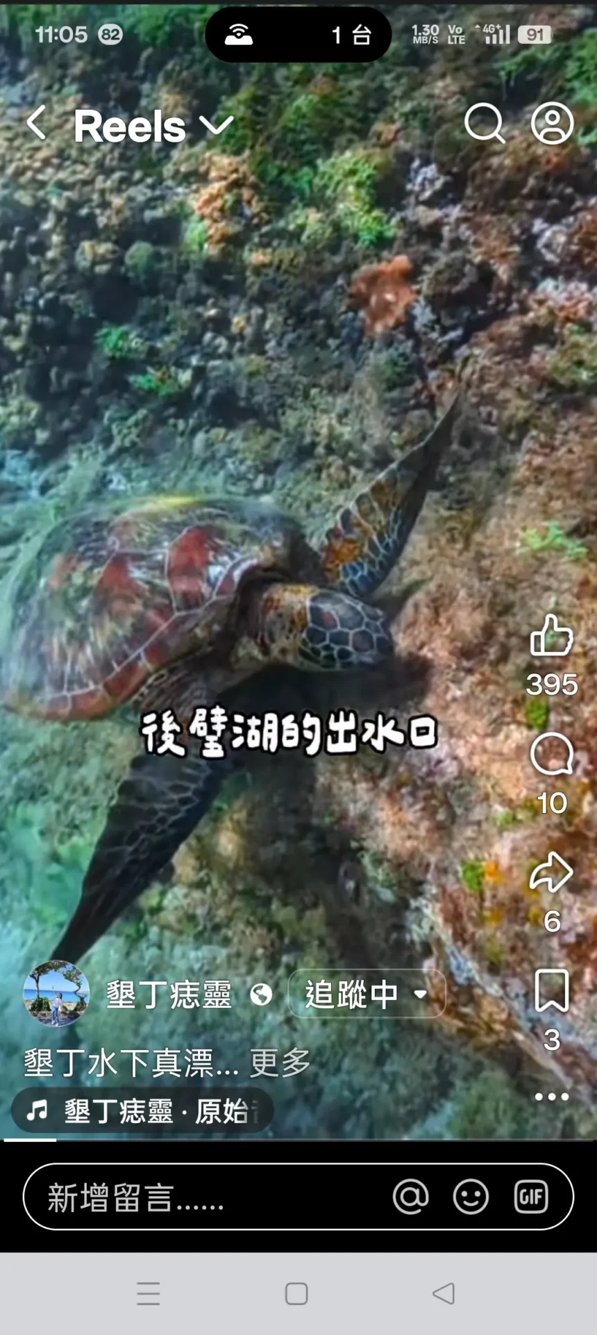 海水正藍 氣候宜人　快來墾丁和海龜同遊浮潛吧