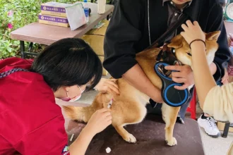 花伴野餐迎春趣　北市動保處推動保知識與免費狂犬病疫苗服務
