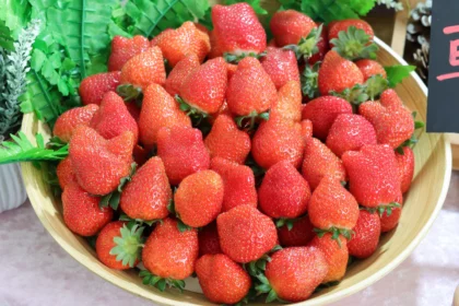 莓寶快閃送好禮！內湖草莓季三大好康攻略