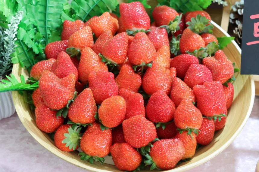 莓寶快閃送好禮！內湖草莓季三大好康攻略