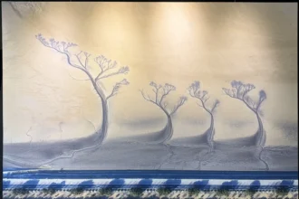 大里地政藝文走廊「台中市攝影學會作品展」現正展出　歡迎市民共賞