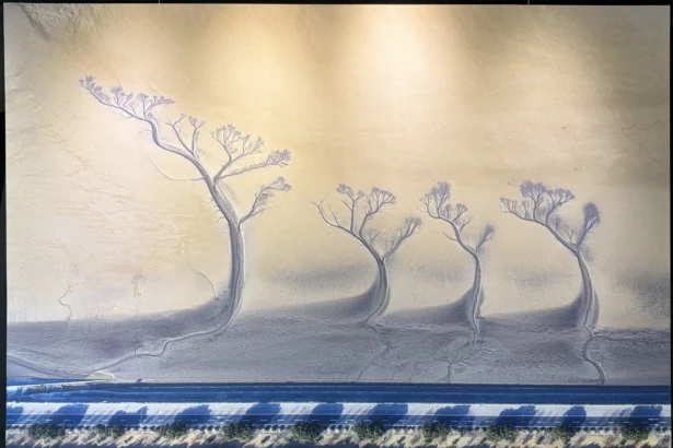 大里地政藝文走廊「台中市攝影學會作品展」現正展出　歡迎市民共賞