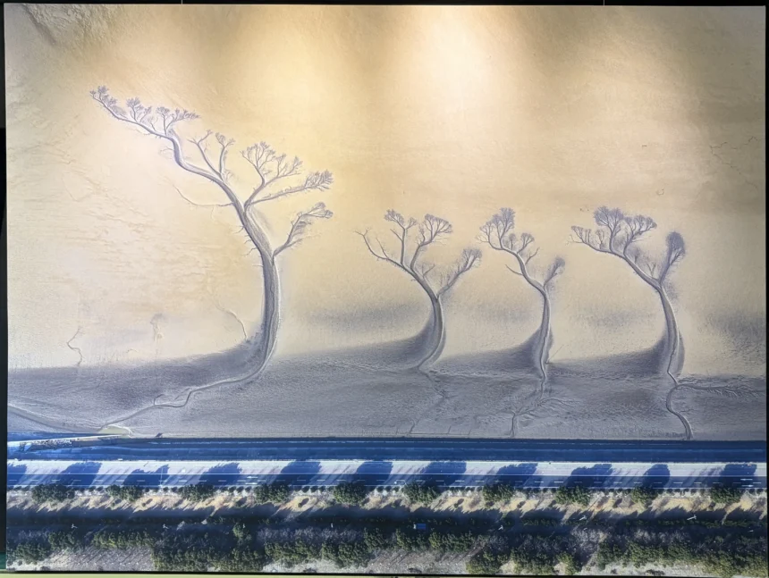 大里地政藝文走廊「台中市攝影學會作品展」現正展出　歡迎市民共賞