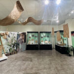 中市原民會推動原文館跨域移展　深化原民文化扎根、擴大展覽影響力