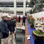 皐月花潮翻轉城市氣質　皐月杜鵑花季展4/4-4/12豐原陽明大樓登場