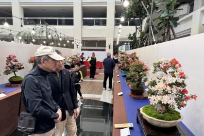 皐月花潮翻轉城市氣質　皐月杜鵑花季展4/4-4/12豐原陽明大樓登場
