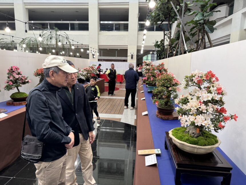 皐月花潮翻轉城市氣質　皐月杜鵑花季展4/4-4/12豐原陽明大樓登場