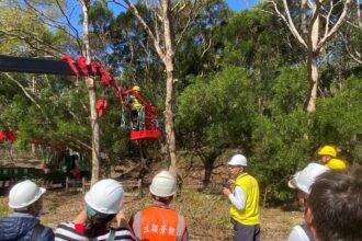 韌性城市從「樹」開始！　中市建設局培訓百名人員 精進行道樹高空修剪專業職能
