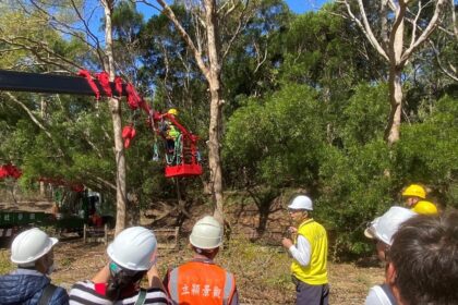 韌性城市從「樹」開始！　中市建設局培訓百名人員 精進行道樹高空修剪專業職能