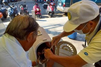 守護人寵健康　中市動保處啟動17場狂犬病疫苗巡迴注射活動