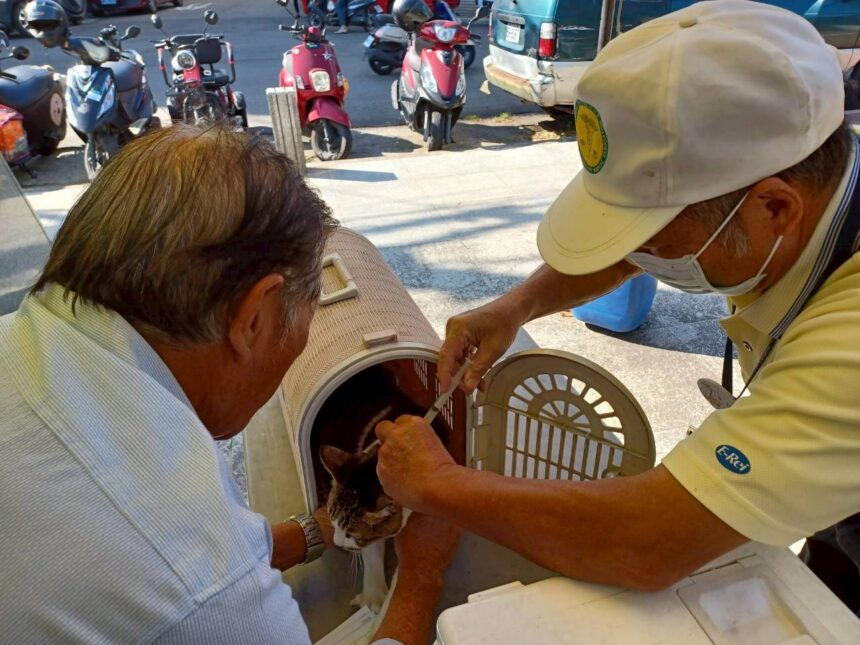 守護人寵健康　中市動保處啟動17場狂犬病疫苗巡迴注射活動
