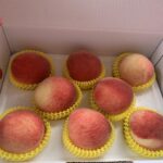 太平區優質水蜜桃果品評鑑競賽　農友柯聰明勇奪冠軍成為平地水蜜桃達人