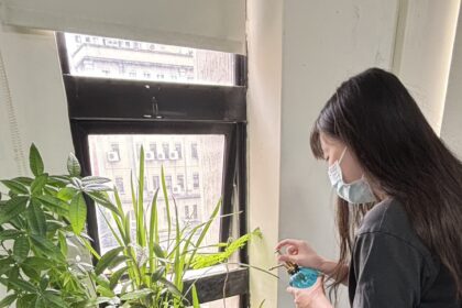 響應4/22世界地球日　中市2,045 家機關與企業推動「綠色辦公」 實踐環境永續發展目標