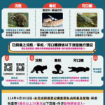 農業部公告5/1起全面禁養641種危險動物　飼主應於116/4/30前登記備查