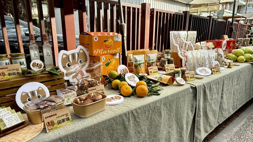 石虎淺山田野現蹤跡！　中市推「生態給付」　農民耕作生產兼顧生態保育