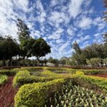 從展示藝術到生活場域　后里森林公園機械花啟動轉型