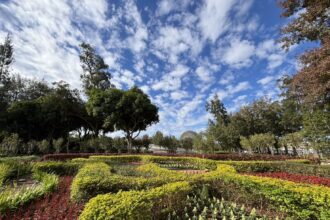 從展示藝術到生活場域　后里森林公園機械花啟動轉型