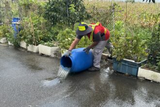 中市推動登革熱孳生源清除評比成效亮眼　動員33萬人次、公私協力守護城市健康
