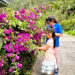 阿里山腳下親子賞螢熱點　美食×體驗×夜間生態一次玩